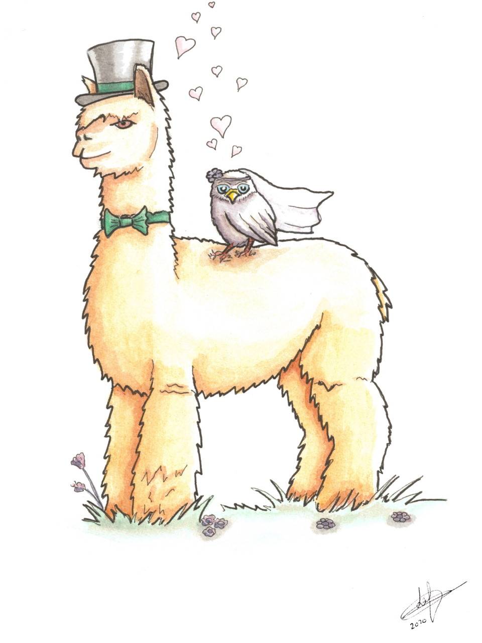 Animaux: Alpaca Chouette