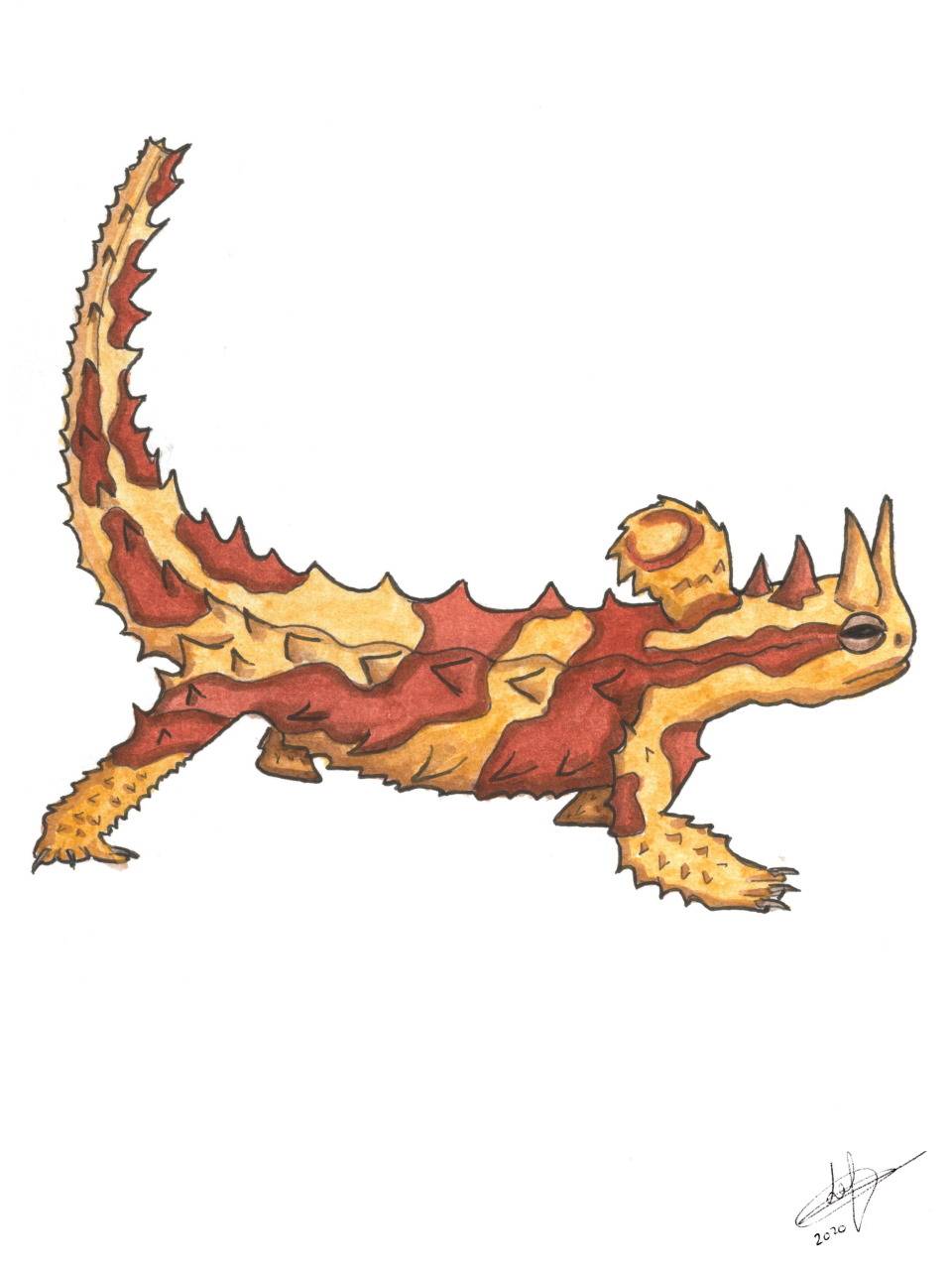 Animaux: Moloch