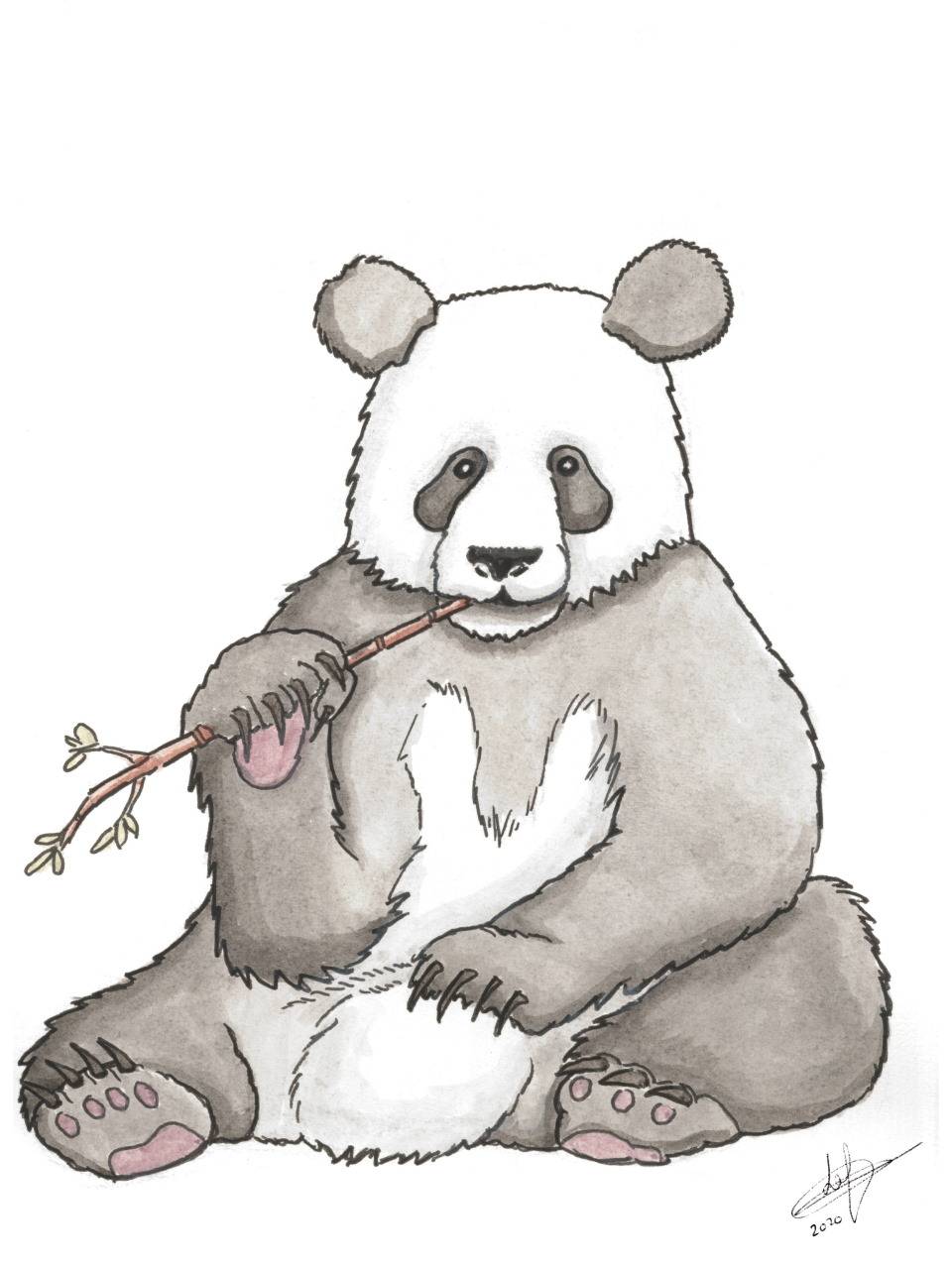 Animaux: Panda