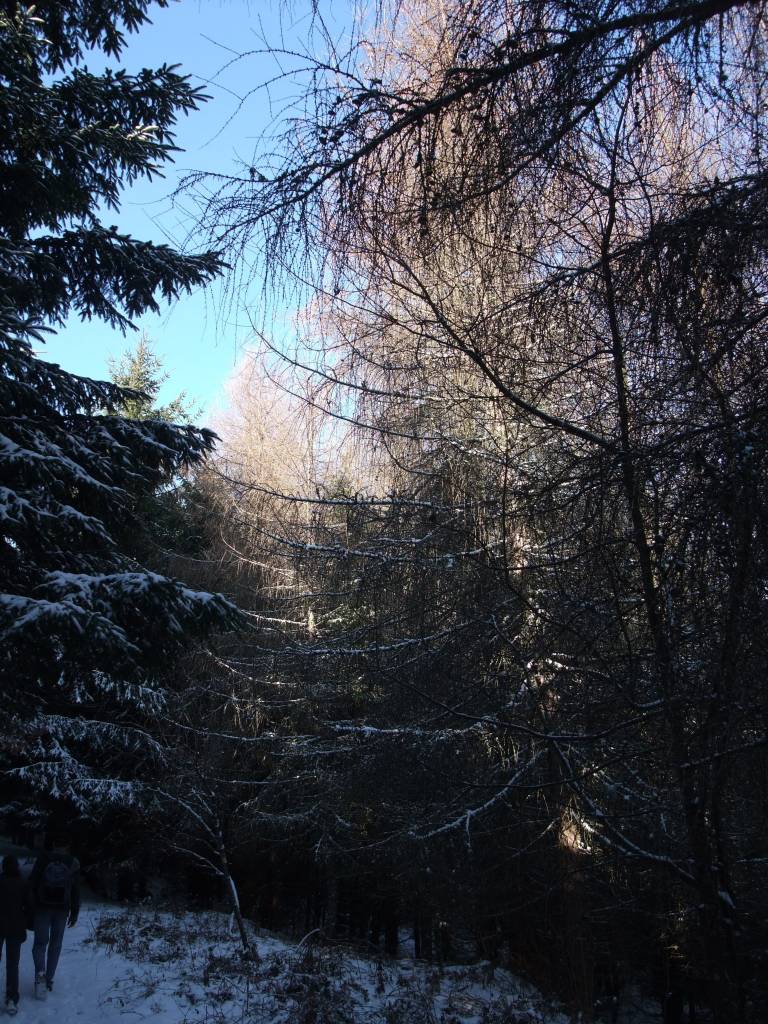 Alsace: DSCF4467