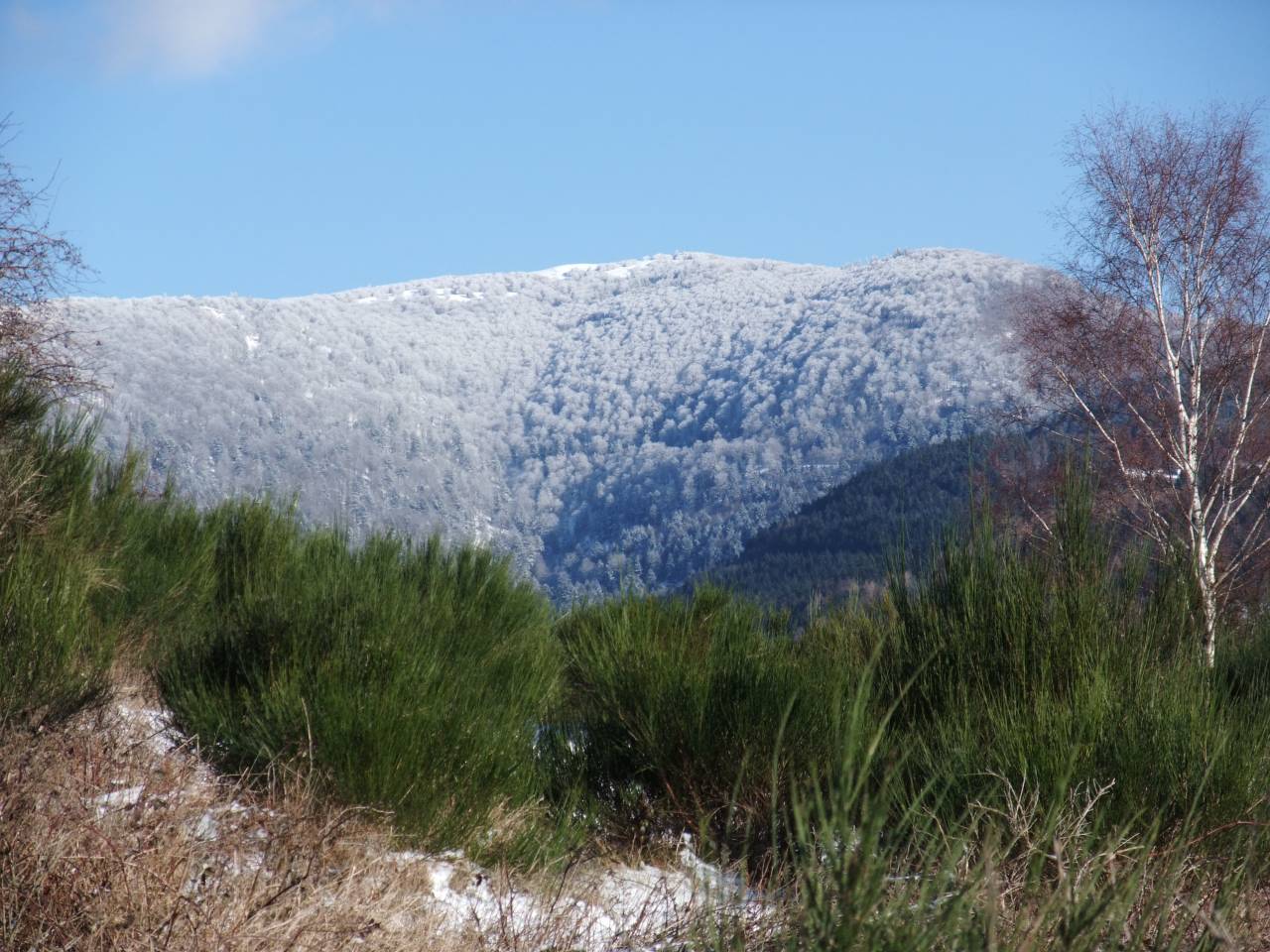 Alsace: DSCF4474