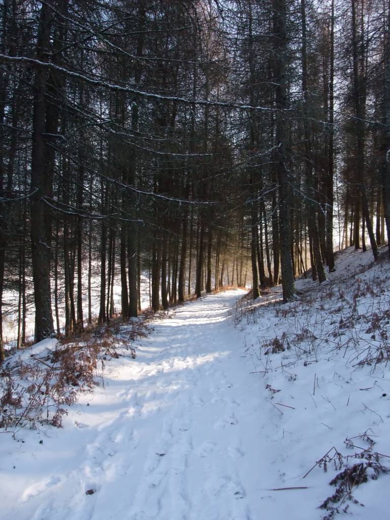 Alsace: DSCF4514