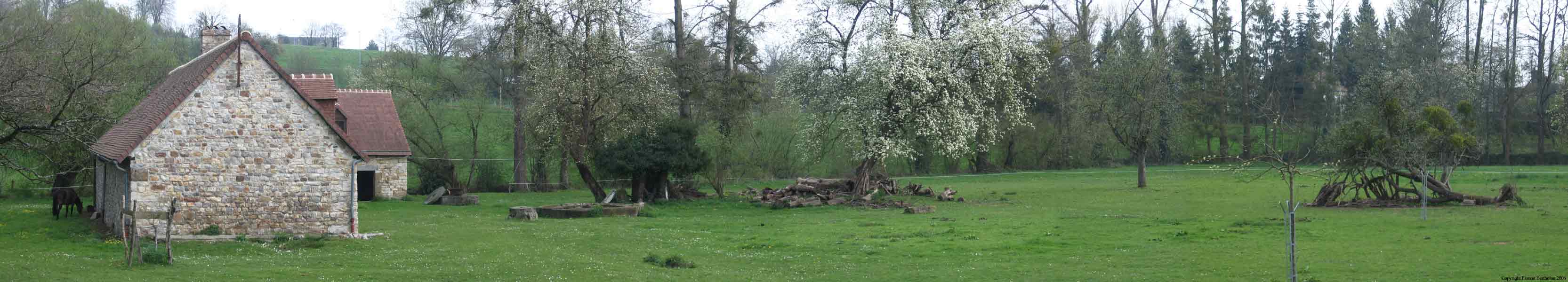 Normandie: Meadow