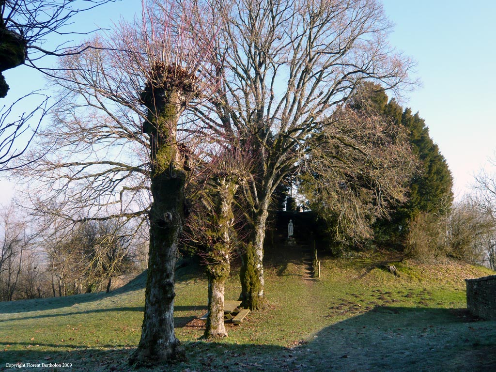 La Sologne: Bosquet