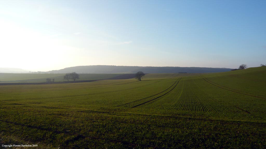 La Sologne: Champ