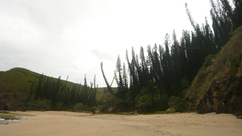 La côte de Bourail: La baie des tortues