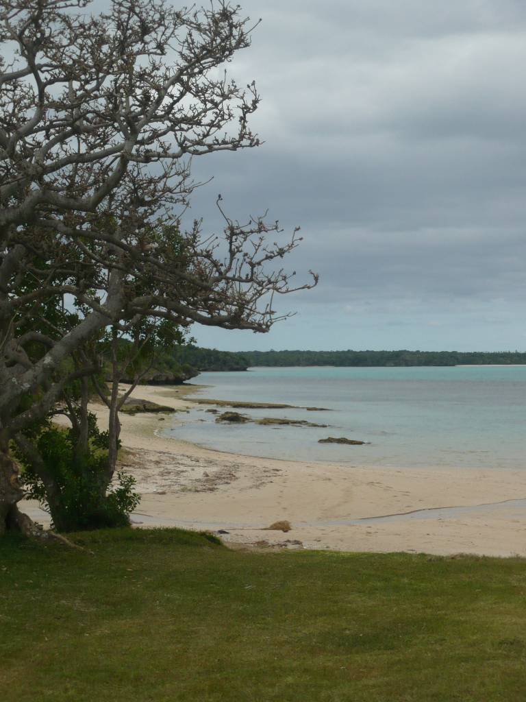 l'Ile des Pins: l'Ile des Pins