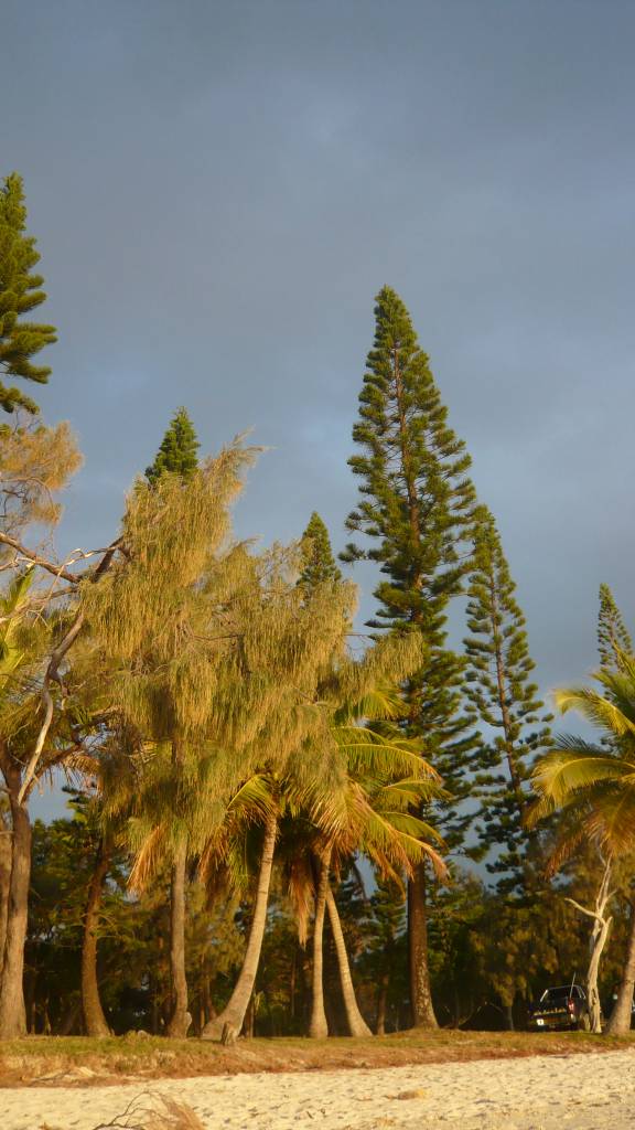 l'Ile des Pins: l'Ile des Pins