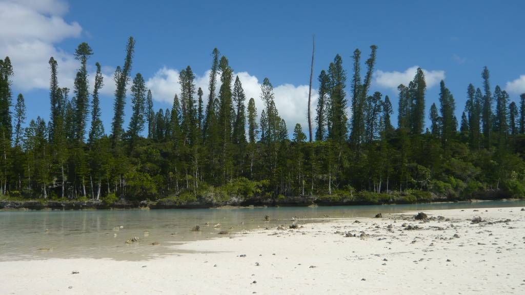 l'Ile des Pins: Piscine naturelle