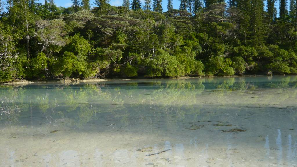 l'Ile des Pins: Piscine naturelle