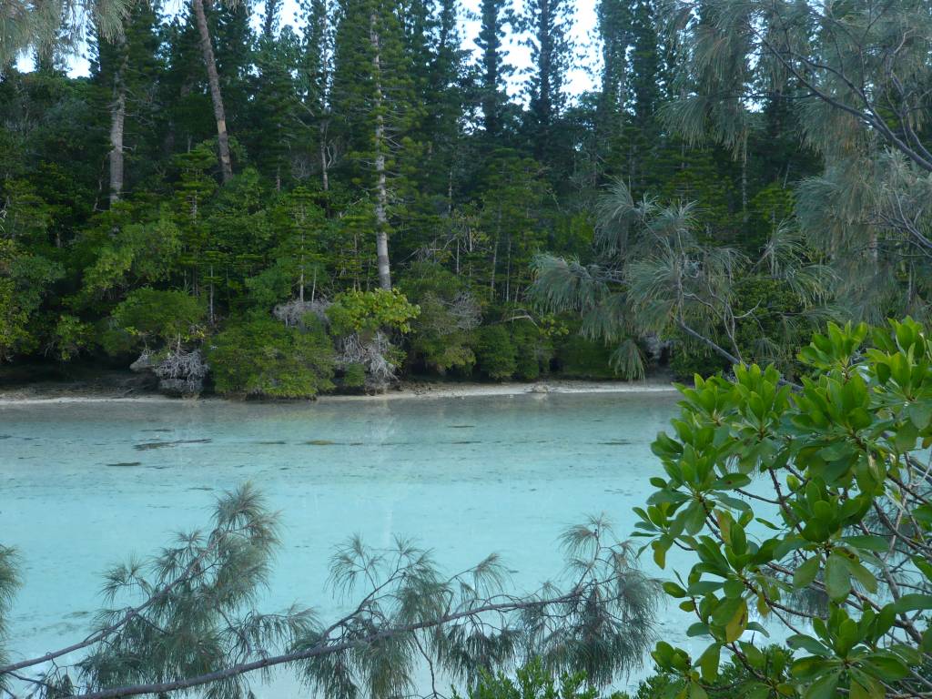l'Ile des Pins: Piscine naturelle