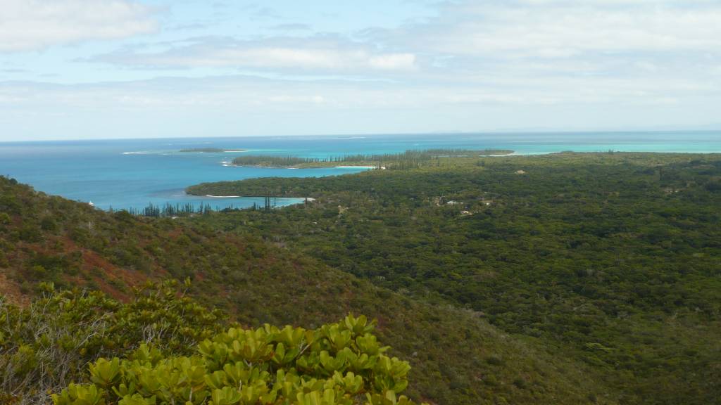 l'Ile des Pins: l'Ile des Pins