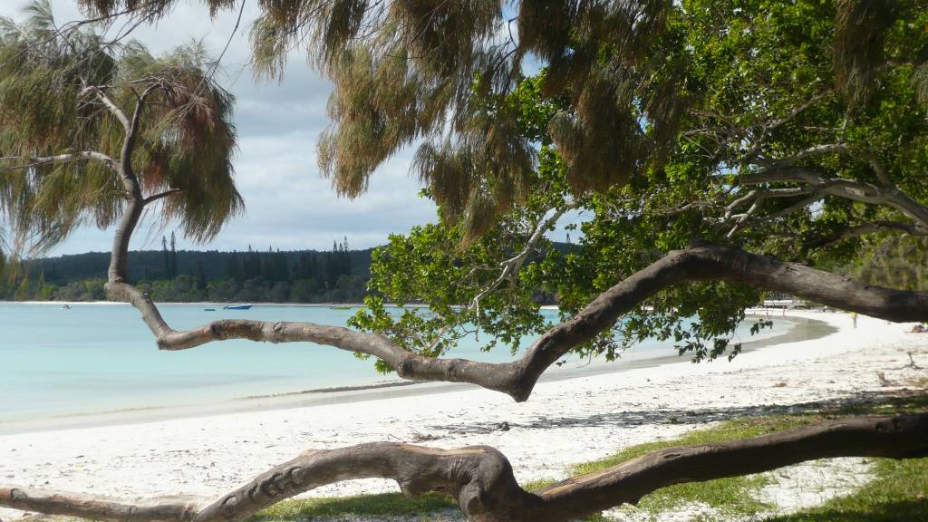 l'Ile des Pins: l'Ile des Pins