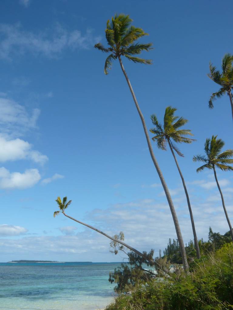 l'Ile des Pins: l'Ile des Pins