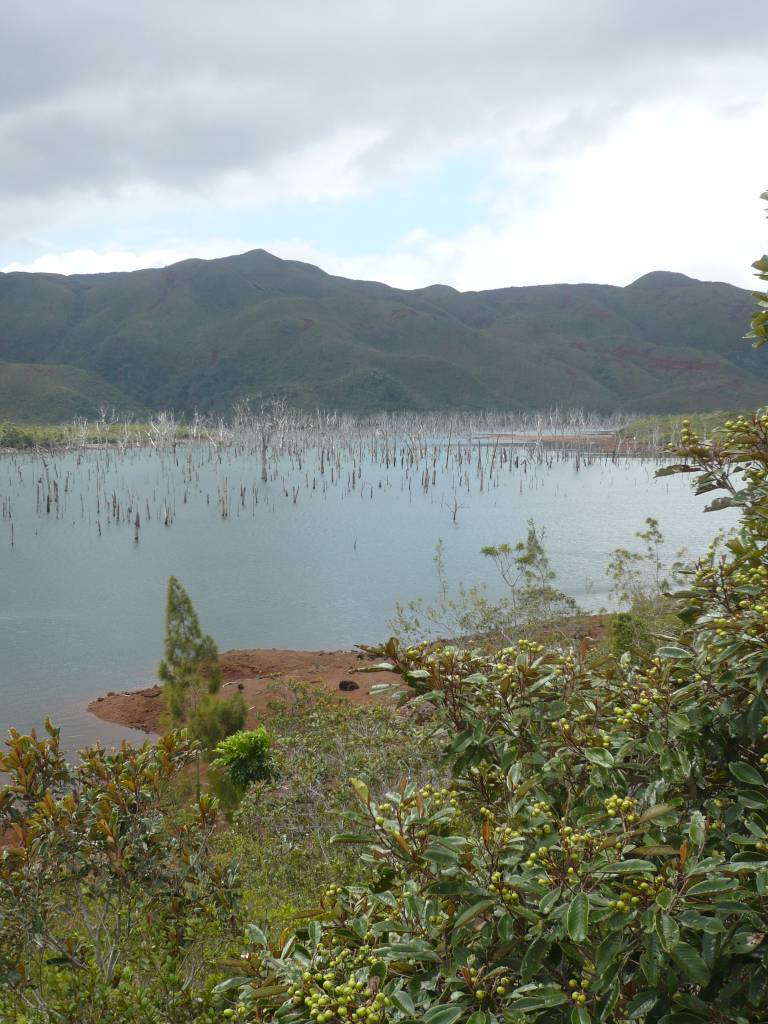 Le parc de la rivière bleue: Le parc de la rivière bleue