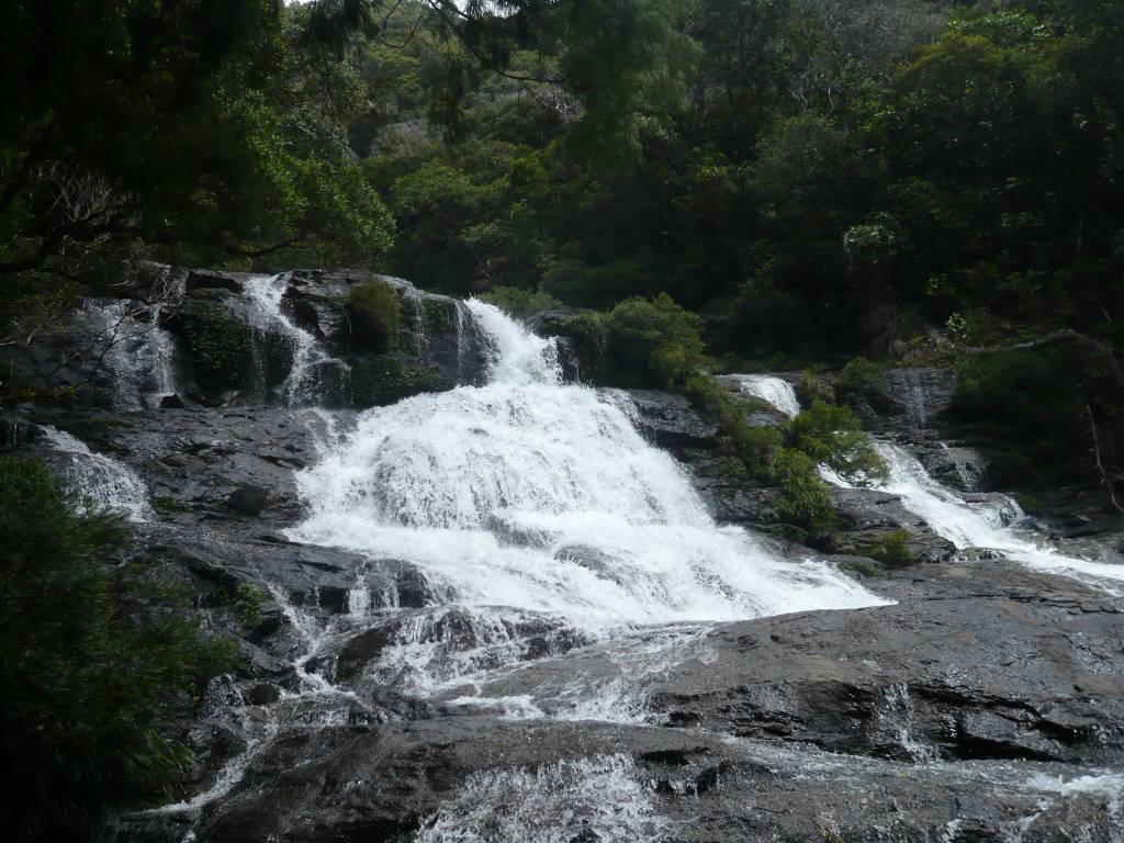 Yengen: Yengen