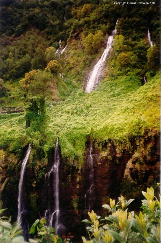 L'ile de la Réunion: Cascade