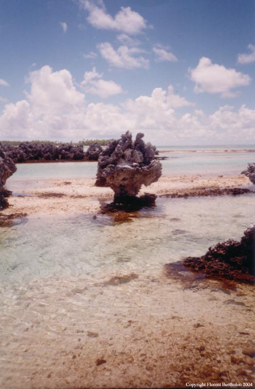 Tahiti: L'ile aux récifs