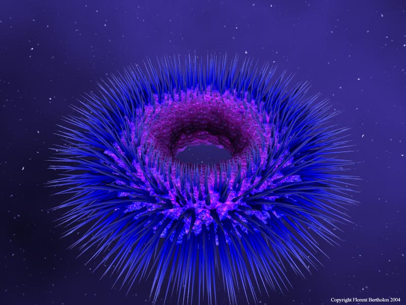 PovRay Goa: Space Torus